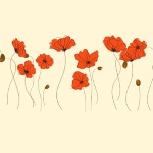 Meet your Posher, Lily